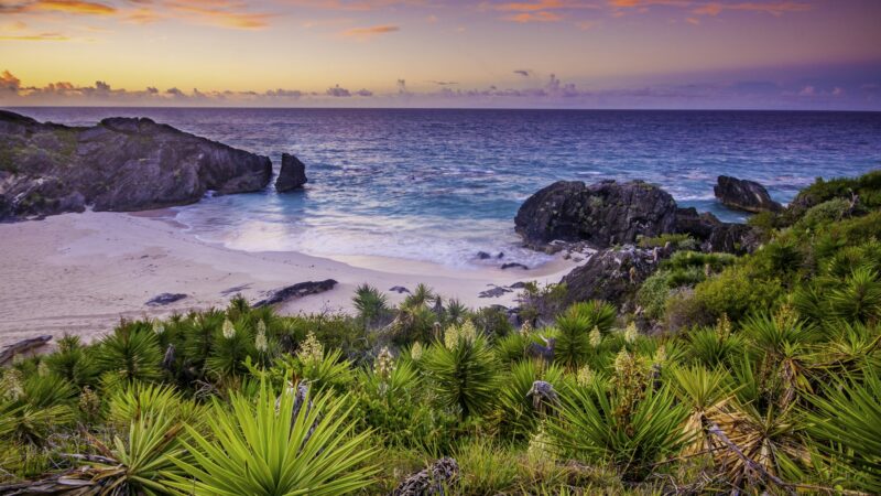 Exploring Bermuda: A Guide to Its Charms, Cuisine, and Costs